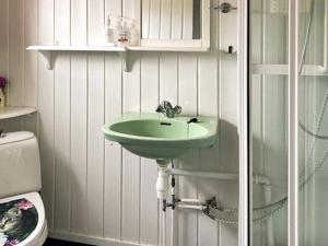 a bathroom with a green sink and a toilet at 6 person holiday home in Storfosna-By Traum in Sletta +33 photos