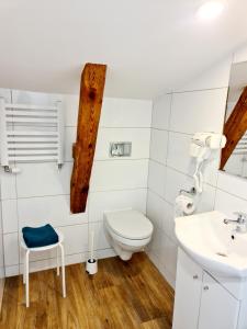 a bathroom with a toilet and a sink at Władysławowska 36 - domki i pokoje gościnne in Władysławowo