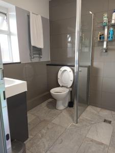 a bathroom with a toilet and a shower and a sink at En-suite Soft Water Air Conditioning TV NEO in London