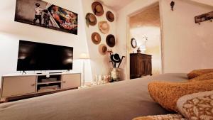 TV a/nebo společenská místnost v ubytování COSY CHAMBRE-SUITE climatisée