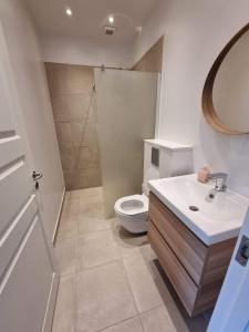 uma casa de banho com um WC, um lavatório e um chuveiro em Bandholm Bed and Breakfast em Bandholm