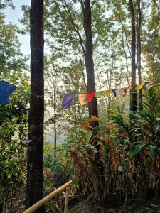 a group of flags hanging from trees in a forest at Evara by The Offbeat Crew in Idukki
