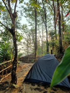 a black tent in the middle of a forest at Evara by The Offbeat Crew in Idukki