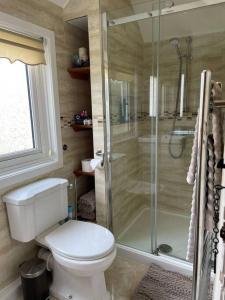 a bathroom with a toilet and a glass shower at Cosy Daffodil Cottage in Eythorne