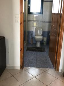 Koupelna v ubytování Ammodares