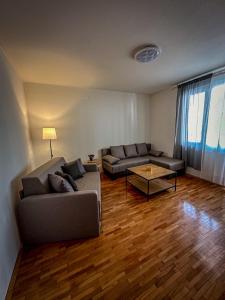 sala de estar con sofá y mesa en Dado apartman 2 en Kraljevo