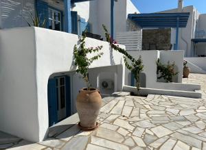a vase with a plant in it sitting on a patio at Villa Galano PAROS GREECE in Ambelas