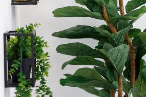 a bunch of plants on a wall next to a shelf at Cozy Downtown Loft in Bradford in Bradford