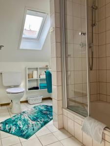 a bathroom with a shower and a toilet and a rug at Ferienwohnung Neubacher in Uhldingen-Mühlhofen