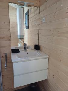 a bathroom with a white sink and a mirror at Le chalet de Coheix in Mazaye +15 photos