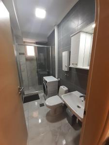 ein Bad mit einem WC, einer Dusche und einem Waschbecken in der Unterkunft Oficerski apartment in Bitola