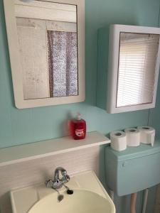 een badkamer met een wastafel en een spiegel bij Aqua Beach House in Oudehaske