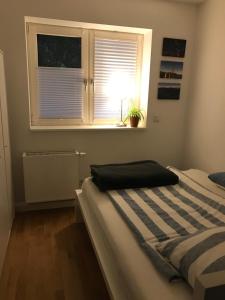 um quarto com uma cama e uma janela com uma planta em Moderne Wohnung in zentraler Lage em Wiesbaden