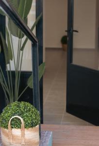 a basket filled with green plants next to a door at Emily Apartments 3 in Chrysoupolis