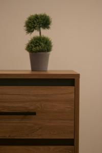 a potted plant sitting on top of a wooden cabinet at Emily Apartments 3 in Chrysoupolis