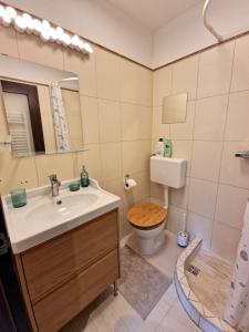 uma casa de banho com um lavatório, um WC e um espelho. em Artistic Apartment in Center em Zagreb