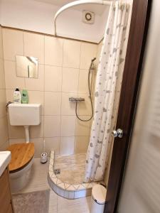uma casa de banho com um chuveiro e um WC. em Artistic Apartment in Center em Zagreb