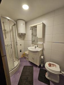 a bathroom with a toilet and a sink and a shower at Koliba Japa in Delnice