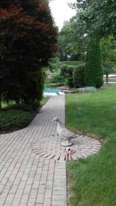 Φωτογραφία από το άλμπουμ του Marti's Place on the Lakes σε Portage Lakes