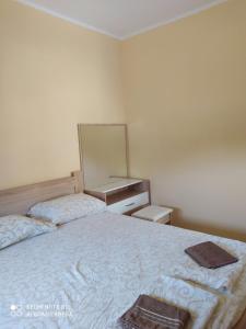 1 Schlafzimmer mit 2 Betten und einem Wandspiegel in der Unterkunft Rada in Kavač