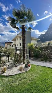 a palm tree in front of a house at Garni Hotello Sport And Relax in Riva del Garda