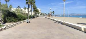 a walkway along a beach with a bench and palm trees at Apartamento La Paz in Torrellano