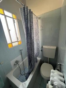 a bathroom with a toilet and a shower curtain at Da Amélie - Casa Giovanni a pochi passi dalla fermata Metro Racconigi di Torino in Turin