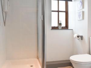 a bathroom with a shower and a toilet and a window at Ty Ffair Mai Annexe in Llangwm-isaf