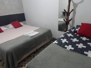 1 Schlafzimmer mit 2 Betten und einem Spiegel in der Unterkunft Piscina Casa Floresta/Sta Teresa/Central/Contorno/Serraria Souza Pinto/Area Hospitalar in Belo Horizonte