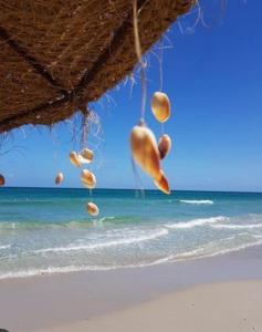 Un montón de conchas marinas están colgando de una playa en Mahdia best Beach, en Mahdia