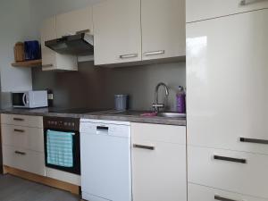 eine Küche mit weißen Schränken und einem Waschbecken in der Unterkunft Honighof Vierk in Langenleuba-Niederhain