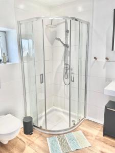 a shower in a bathroom with a toilet at Bohlinger Seeapartments in Bohlingen