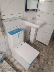 een badkamer met een toilet en een wastafel bij KOFFY STAR GUEST HOUSE in Kumasi