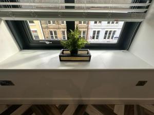 a plant sitting on a window sill in front of a window at Kings Gate House DH ApartHotels in Peterborough