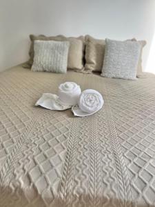 ein Bett mit zwei Handtüchern darauf in der Unterkunft Lindo apartamento de 3 quartos bem amplo próximo a Rua de Lazer Domingos Martins in Domingos Martins