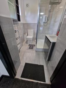 a bathroom with a shower and a toilet and a sink at CKB Flat- comfort, cosy, and secure! in Codsall