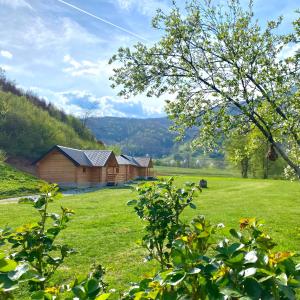 una cabaña de madera en un campo con un campo verde en Wooden Corner en Kolašin