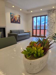 eine Topfpflanze auf einem Tisch im Wohnzimmer in der Unterkunft Casa Achille in Spello