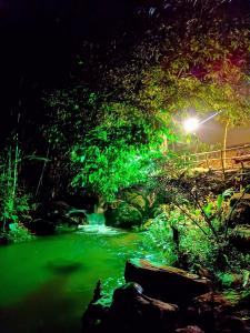 um rio verde à noite com uma luz de rua em Triloka Dorm by The Offbeat Crew em Munnar