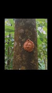 a tree with a carving of a face on it at Triloka Dorm by The Offbeat Crew in Munnar