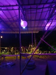 Tienda de campaña con luces moradas en la oscuridad en Triloka Dorm by The Offbeat Crew, en Munnar