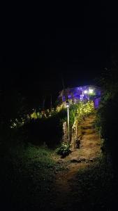 una casa iluminada por la noche con luces en Triloka Dorm by The Offbeat Crew, en Munnar