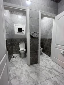 een badkamer met een toilet en een wastafel bij فيلا الواحة للحفلات والمناسبات بالعجمي/أبو يوسف in Alexandrië