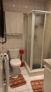 a bathroom with a toilet and a shower at Apart calmo em paris jourdain in Paris