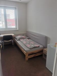 a bed in a room with a desk and a chair at Living Bratislava Centrum &Mlynské Nivy& Bus station in Bratislava