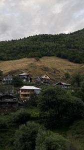 een groep huizen bovenop een heuvel bij Vichnashi in Mestia