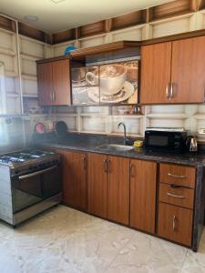uma cozinha com armários de madeira, um lavatório e um fogão em A luxury apartment in Alexandria em Alexandria