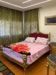 Fotografie z fotogalerie ubytování A luxury apartment in Alexandria v destinaci Alexandria