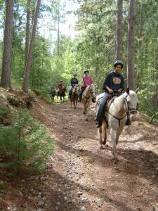 a group of people riding horses down a dirt road at Deer Meadow #1 in Maynooth