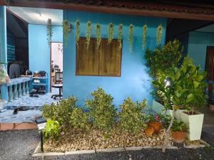 a blue wall with a bunch of plants on it at SK Hometel Samui Airport in Bang Rak Beach